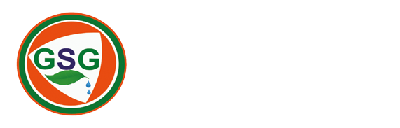 greensoft-groups-software-company